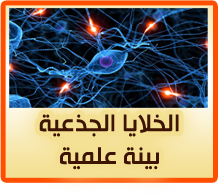 الخلايا الجذعية